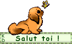 salut toi..